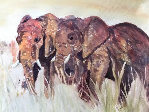 Elephants